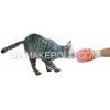 Magical safety catnip sheet japanese cat toy with ST standard