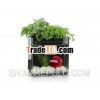 Small Desktop Square Acrylic Aquarium