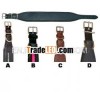 Curved Shaped Leather Dog Collar