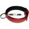 00116 leather padded Dog Collar with diamonds