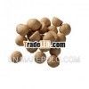 Bulk Best Buddy Bits - Beef & Liver Flavor