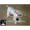 lactic acid bacteria for pets of High quality of Japan plush pet toy