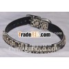 Cat/ Puppy Collars