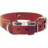 1079 Lined Bridle leather Dog Collar