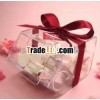 Mini Transparent Acylic Hinge Candy Box