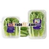 plastic rectangular vegetable/salad container