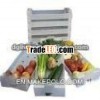 washable plastic plates