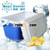 25L PU foam picnic ice box