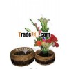 Water-hyacinth basket- Craft waving basket - hand woven basket - handmade basket from vietnam