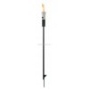 TORCH