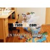 Plastic clear storage box with memo card M-39C