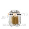 Acrylic Salt & Pepper Shaker