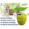 Fresh Up (Harmful Gas Eliminator)