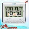 DC101 digital timer