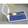 Platform Hand Trolley