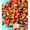 10% - 20% Gardenoside plant extract