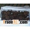 Supply Black Truffle, China Black Truffle.