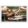 Barbecue Wire Mesh