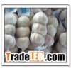 pure white garlic