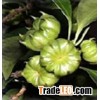 98% Shikimic acid plant extract