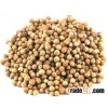 Coriander Seeds