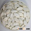 Snow White Pumpkin Seed