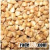 high-quality buckwheat kernel