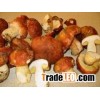 Wholesale Boletus Edulis, China Boletus Edulis.