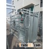 powder coated or galvanised heavy duty cattle squeeze chute