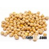 Chickpeas