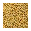 sell soya bean