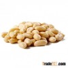 Peanut