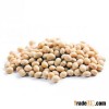 Soya Bean