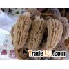 Wholesale Honeycomb Morel, China Honeycomb Morel.