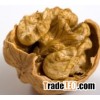 paper-skin walnut