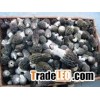 Wholesale Morchella Esculenta, China Morchella Esculenta.