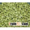 Buckwheat