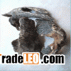 eaglewood chips)(agarwood chips)(oud chips)aloeswood