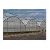 High Modern Film Greenhouse
