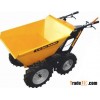 Muck Truck with CE(DL250)
