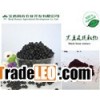 black bean peel P.E