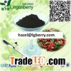 Lingonberry Anthocyanin