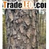 Pine Bark Extract (Botanical Extract) 95%OPC