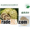 Noni powder