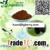 Mulberry extract powder