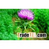 Milk thistle Extract