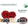 Cranberry extract