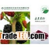 Mulberry powder