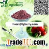 Wild Rose Hip Extract