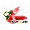 capsaicin